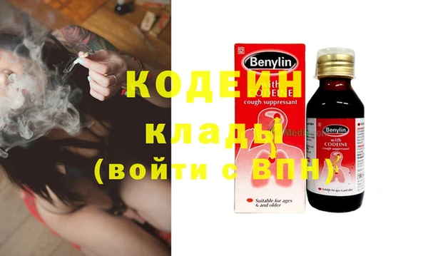 прущие грибы Пересвет