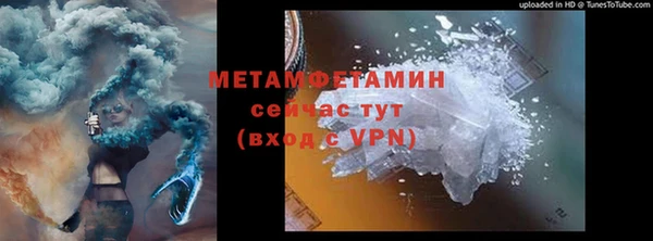 прущие грибы Пересвет