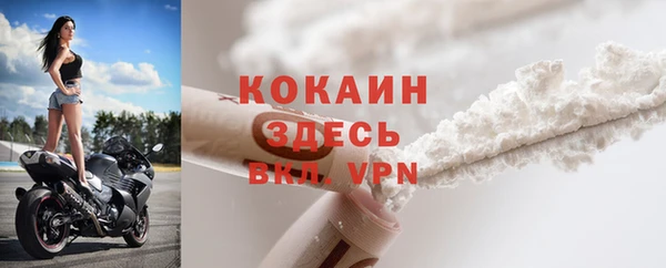 прущие грибы Пересвет