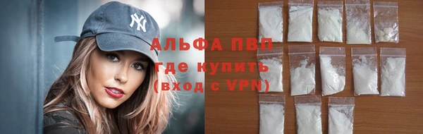 прущие грибы Пересвет